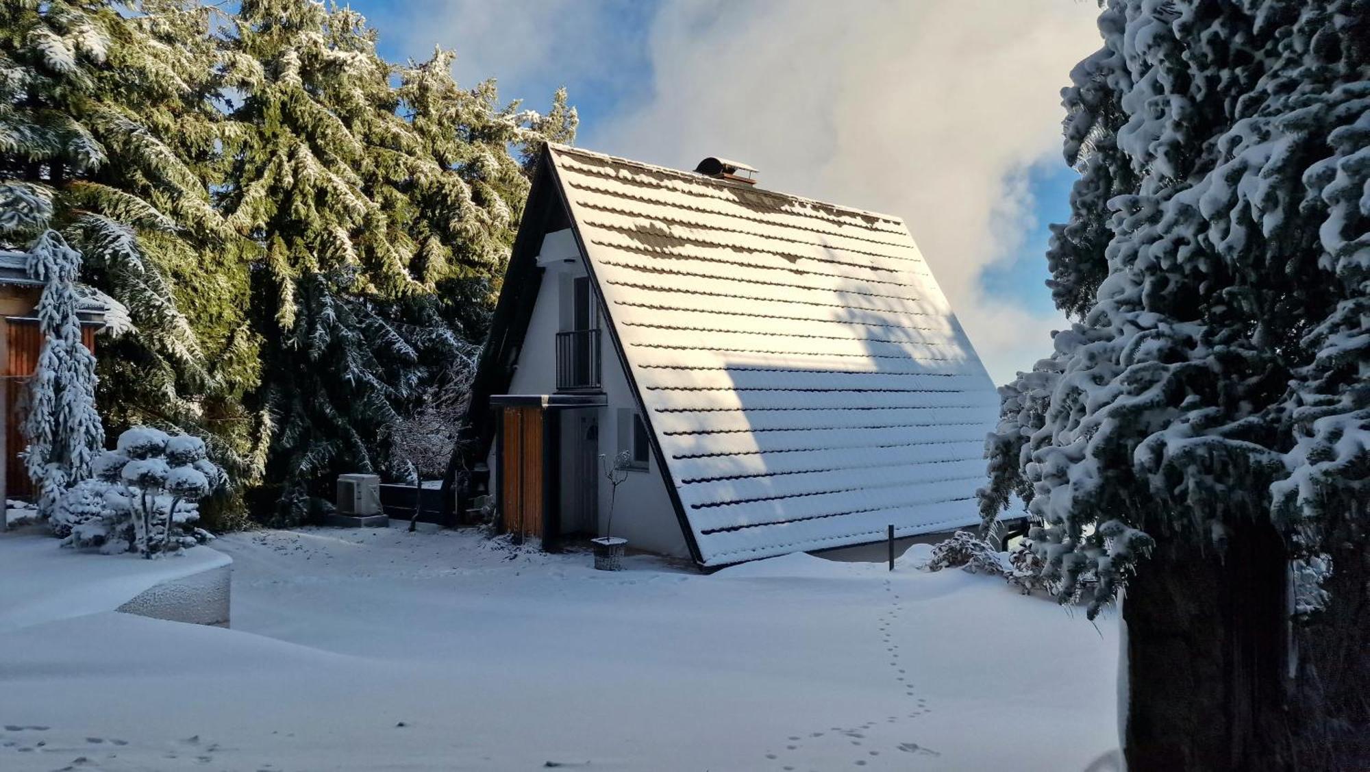 Panoramic View Cottage House - Heaven Hočko Pohorje المظهر الخارجي الصورة